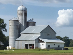 Metal barn with grain silos on a green farm, built by Buildway for storing crops and equipment.